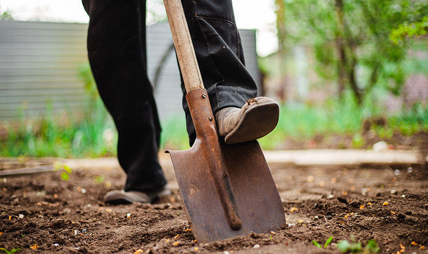 土をスコップで掘っている