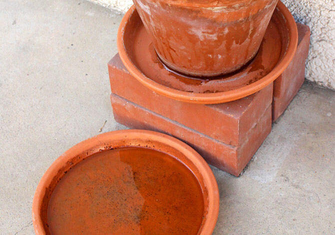 鉢皿に水がたまってる画像！