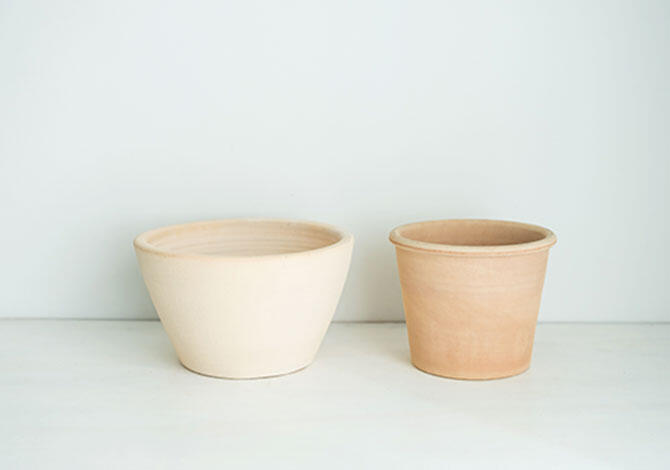 植え替えに必要なもの(新しい鉢またはプランター)