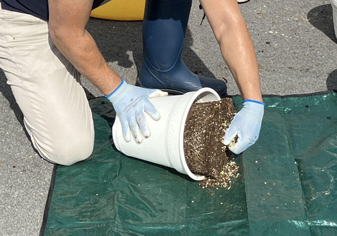 プランタースタンドを活用