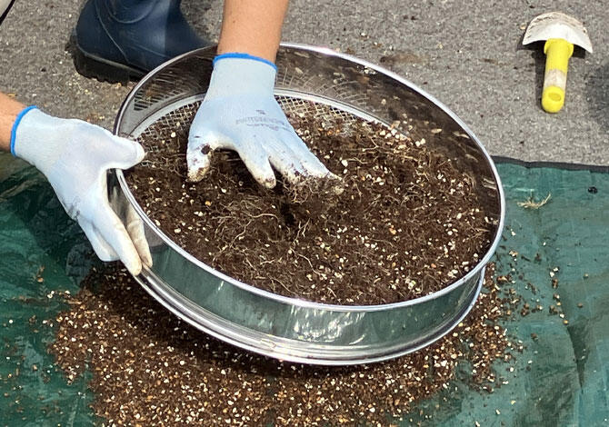 ふるいにかける