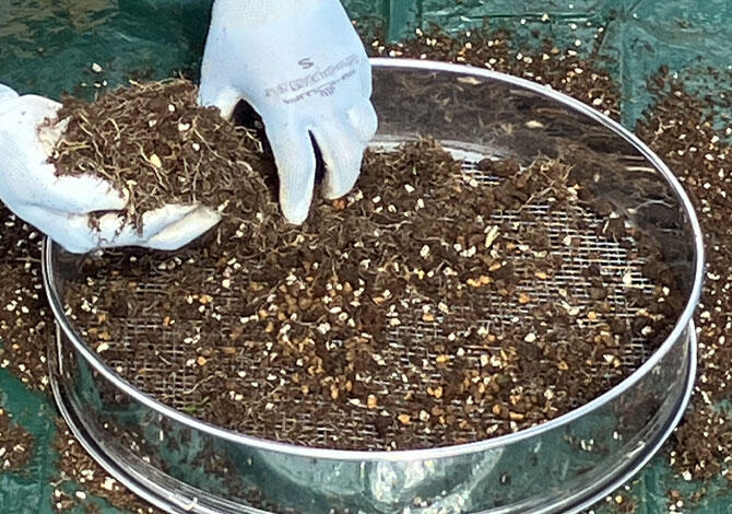 土をふるいにかけている様子