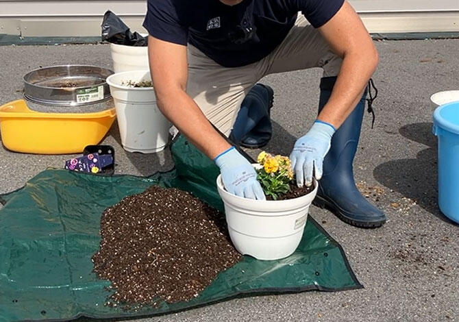 苗を植えている様子