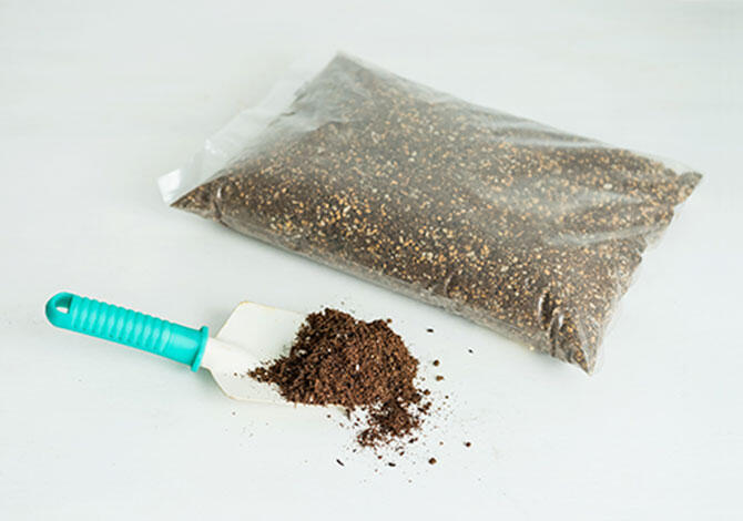 植え替えに必要なもの(新しい培養土)