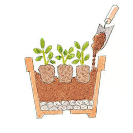 植え付け方法①