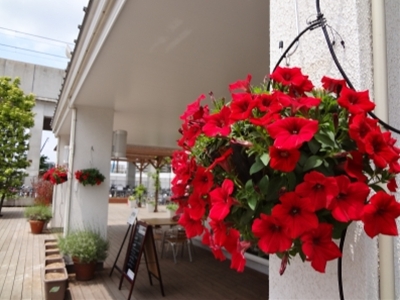 関東エリア 赤いサフィニアで街を彩ろうキャンペーン 赤い花プロジェクト サントリーフラワーズ