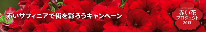 �Ԃ��ԃv���W�F�N�g �摜���e�y�[�W
