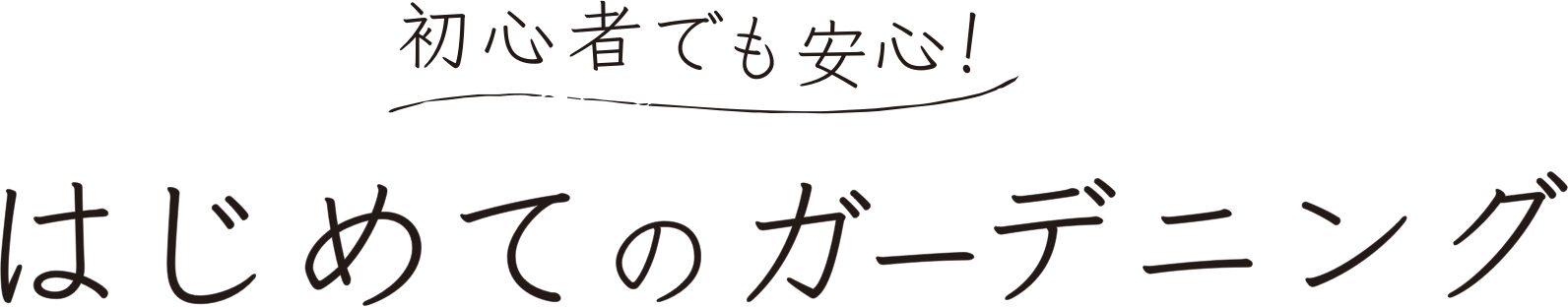 初心者でも安心！はじめてのガーデニング