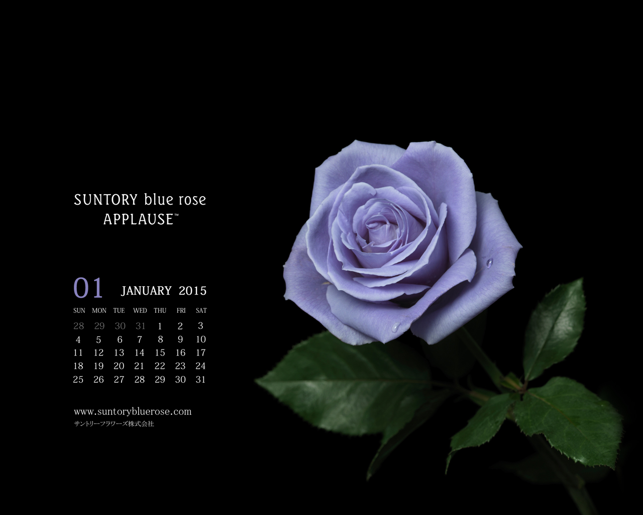 お花の壁紙カレンダー15年1月 1280 1024 サントリーフラワーズ