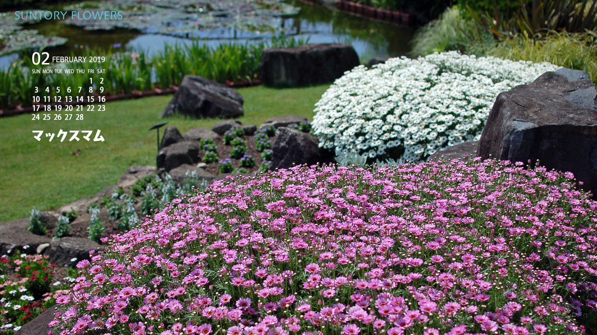お花の壁紙カレンダー19年2月 19 1080 サントリーフラワーズ