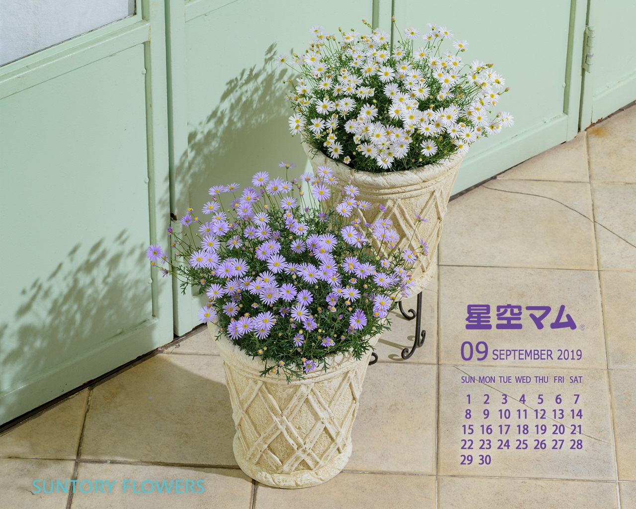 お花の壁紙カレンダー19年9月 1280 1024 サントリーフラワーズ