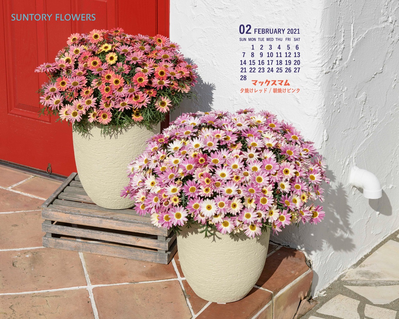 お花の壁紙カレンダー21年02月 1280 1024 サントリーフラワーズ