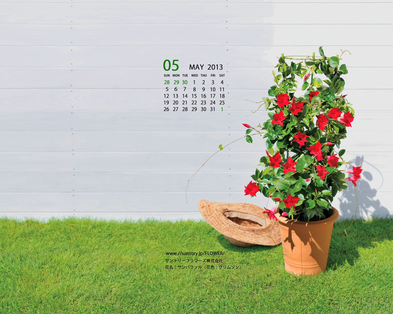 壁紙カレンダー5月 デジタルおまけ 花のある暮らし ガーデニング 園芸 サントリーフラワーズ