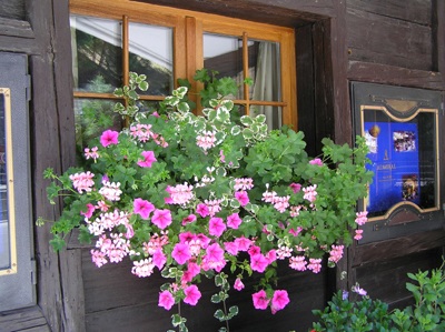 スイス 海外の素敵な風景 花のある暮らし ガーデニング 園芸 サントリーフラワーズ