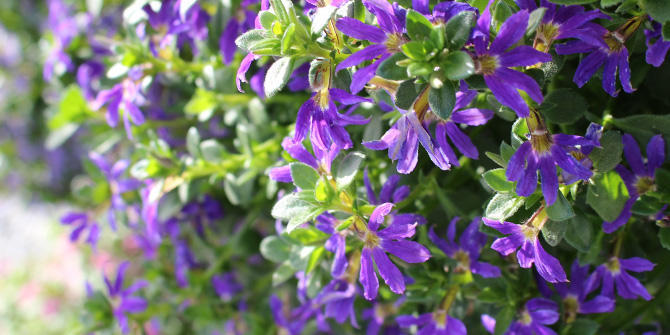 サンク・エール　商品ラインアップ