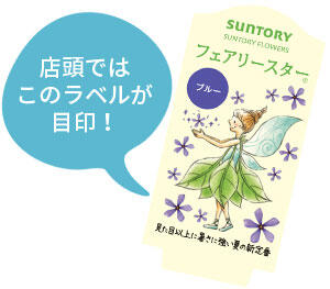 フェアリースター花苗のラベル