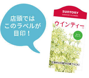 ウインティー花苗のラベル