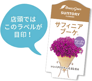 サフィニアブーケ花苗のラベル