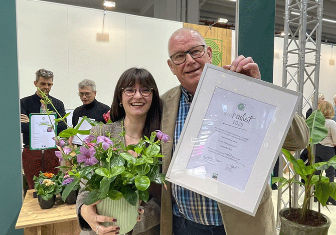 フラワーオブザイヤー受賞スターティアラ ピンク