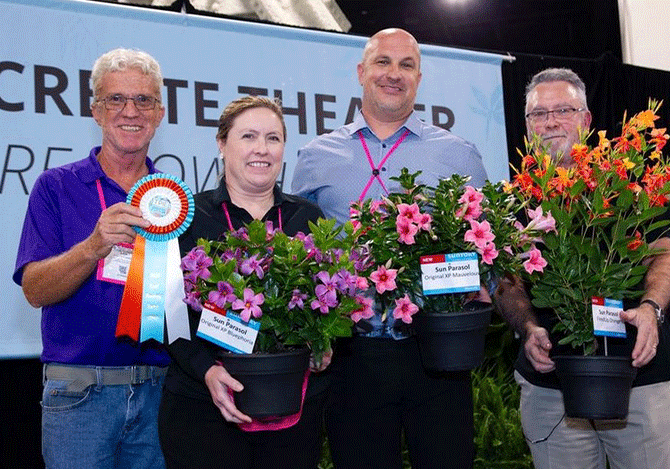 フラワーオブザイヤー受賞スターティアラ ピンク