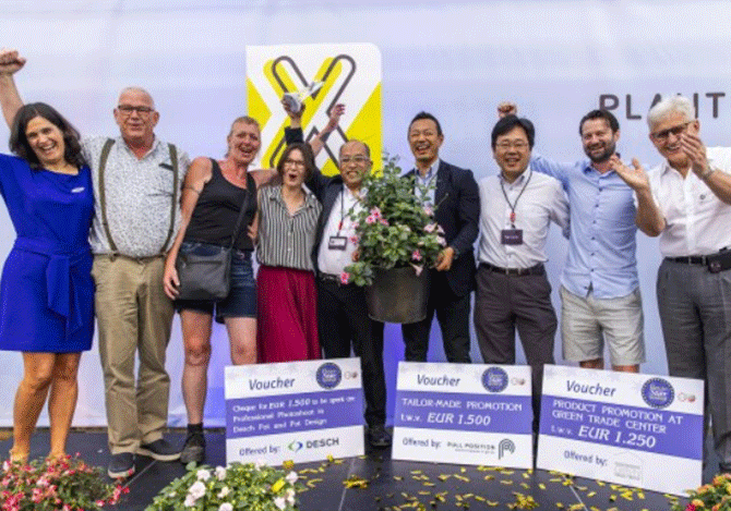 フラワーオブザイヤー受賞スターティアラ ピンク