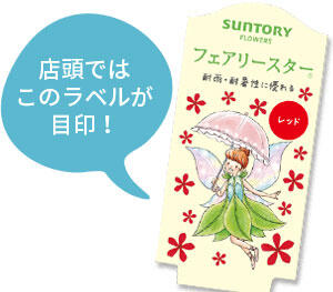 フェアリースター花苗のラベル