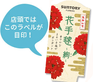花手毬～絢（あや）～花苗のラベル