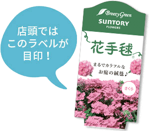 花手毬~花苗のラベル