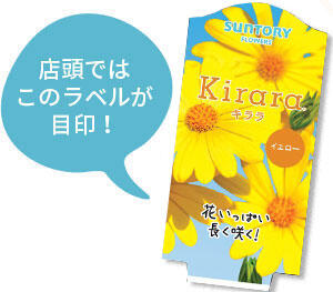 キララ花苗のラベル