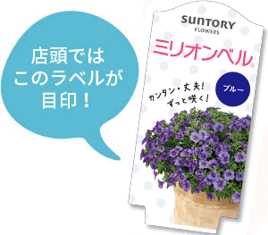 ミリオンベル花苗のラベル