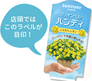 ミリオンベル ハンディ花苗のラベル