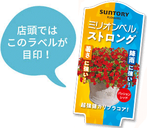 ミリオンベル ストロング花苗のラベル