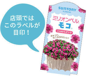 ミリオンベル モコ花苗のラベル