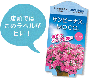 サンビーナスMOCO花苗のラベル