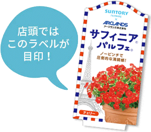 サフィニアパルフェ花苗のラベル