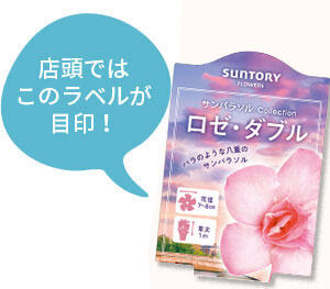 サンパラソル Collectionロゼ・ダブルのラベル