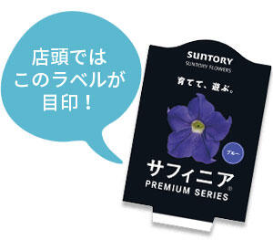 サフィニアプレミアムシリーズラベル