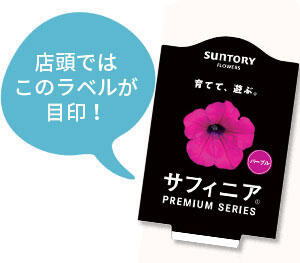 サフィニアプレミアムシリーズラベル