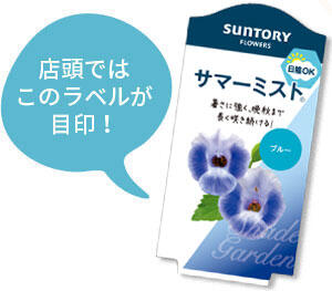 サマーミスト花苗のラベル