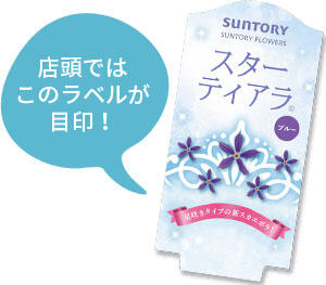 スターティアラ花苗のラベル