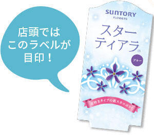スターティアラ花苗のラベル