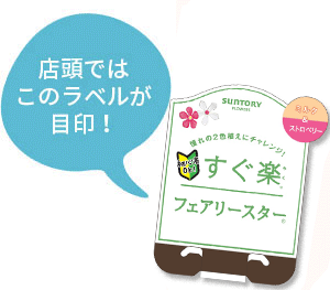 すぐ楽フェアリースター花苗のラベル