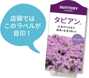 タピアン花苗のラベル