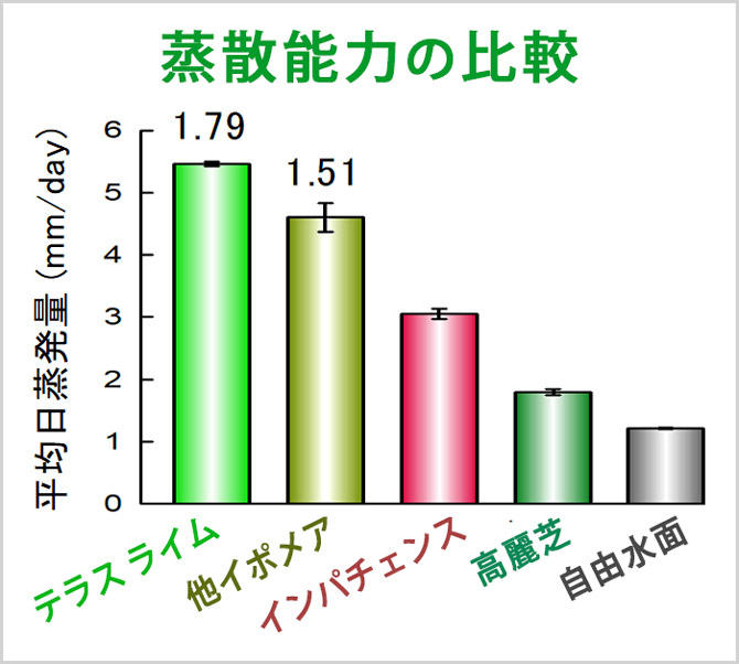 テラス ライム「高い蒸散能力」