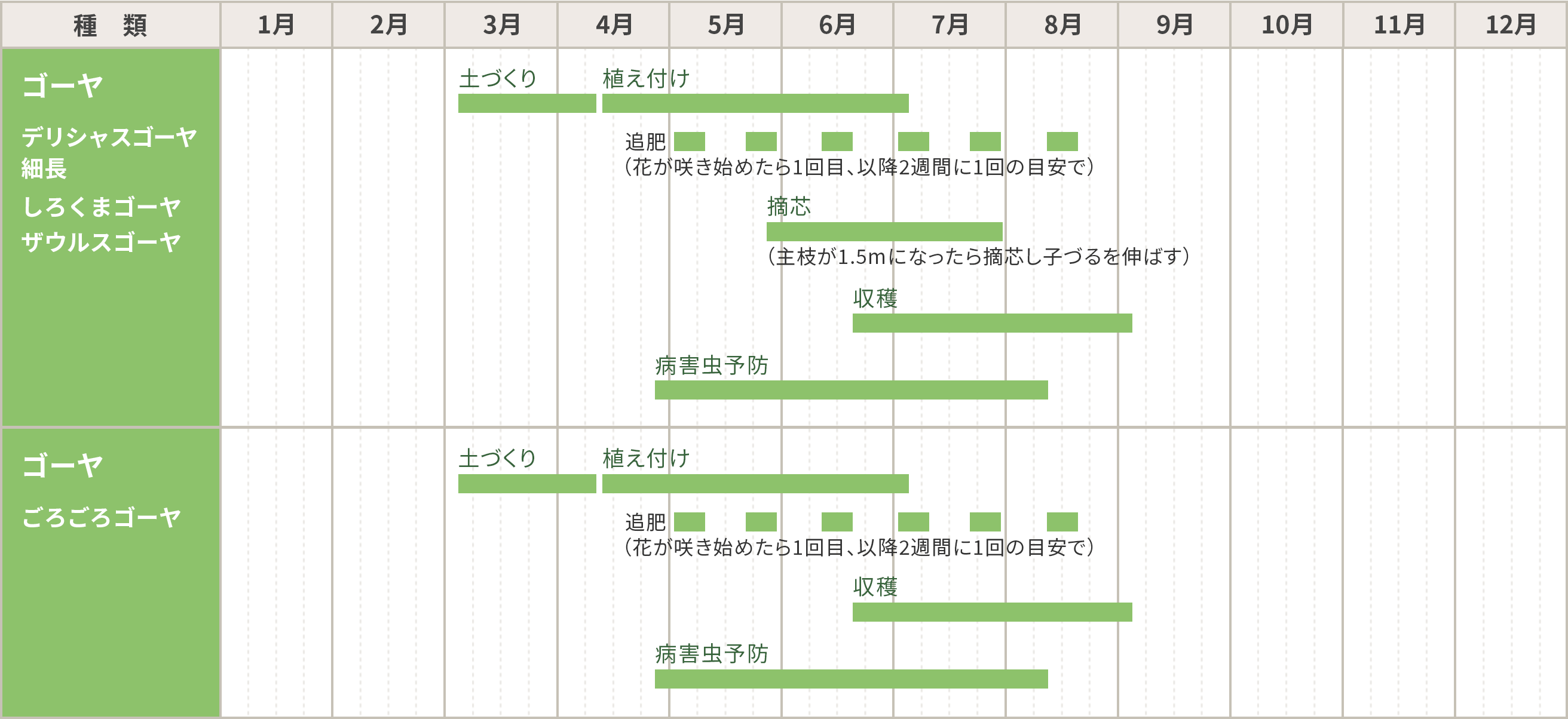 ゴーヤの栽培カレンダー