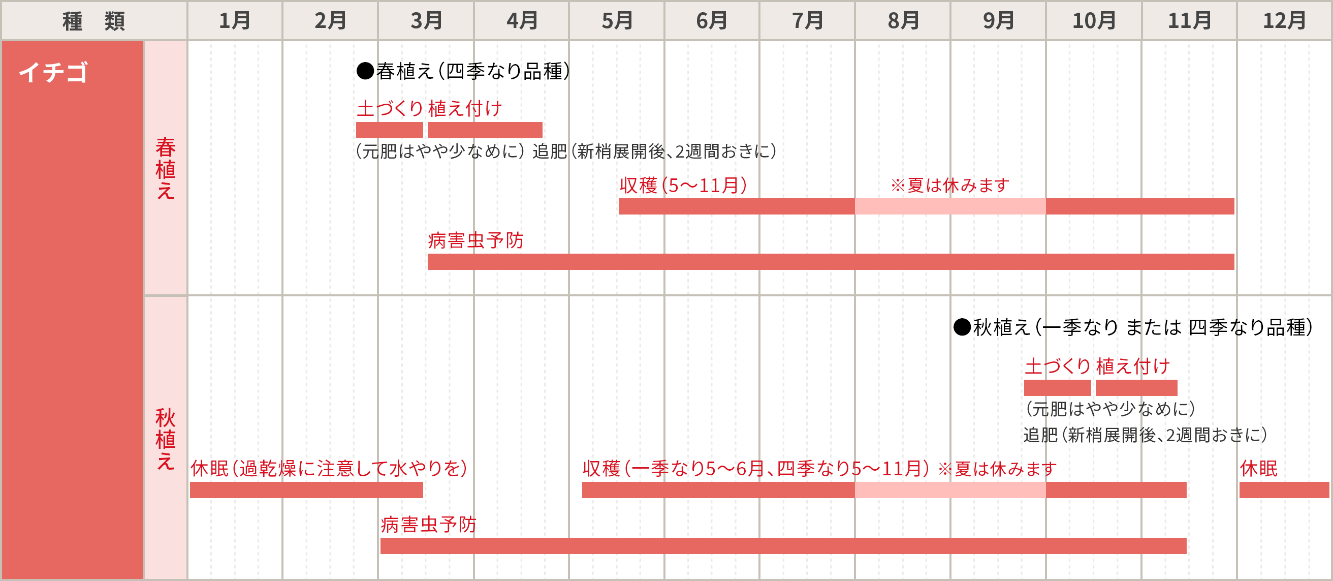 イチゴの育て方 家庭菜園 サントリーフラワーズ