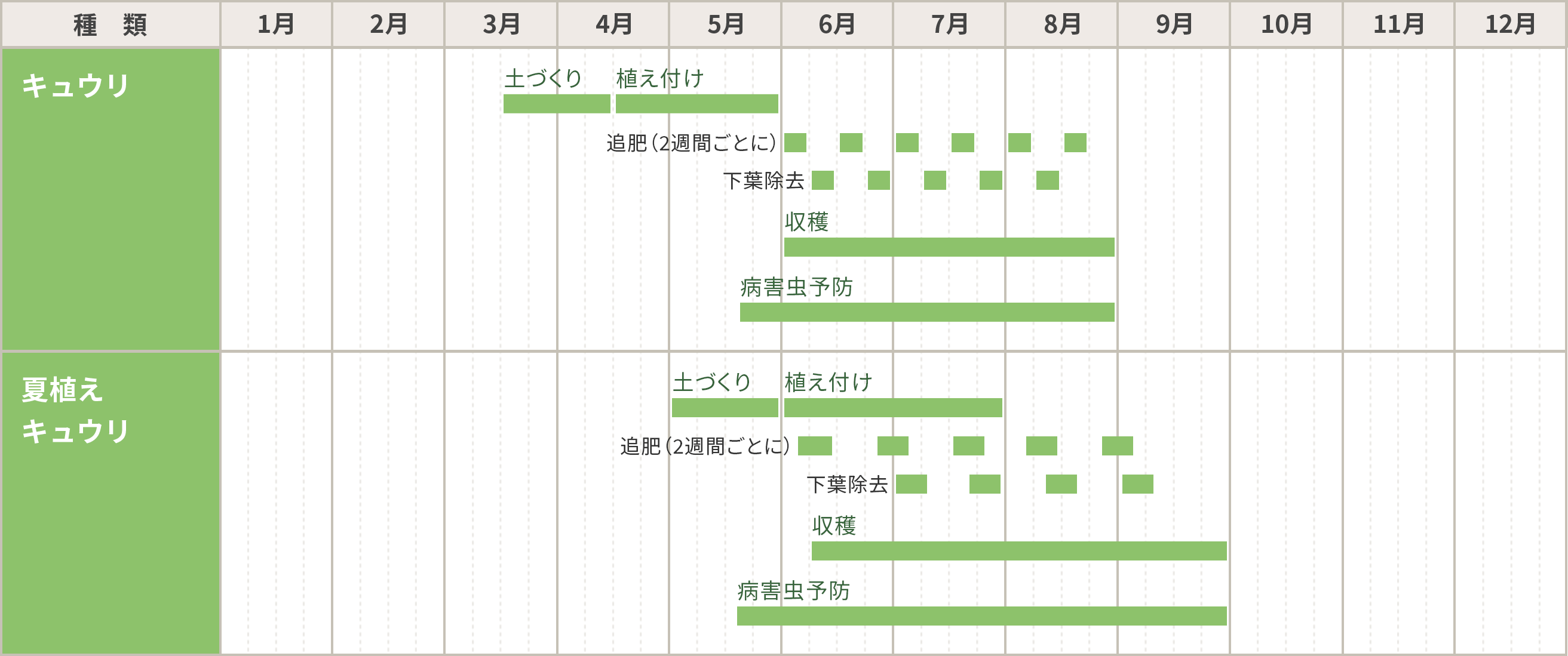 キュウリ（胡瓜）の栽培カレンダー