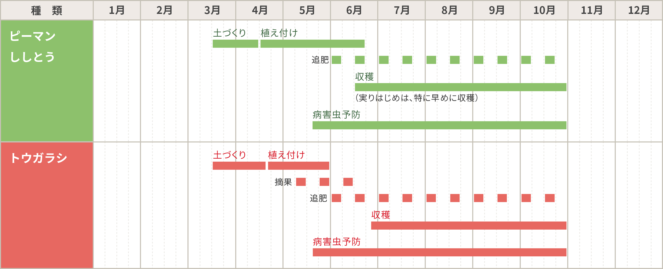 ピーマン・ししとう・トウガラシの栽培カレンダー