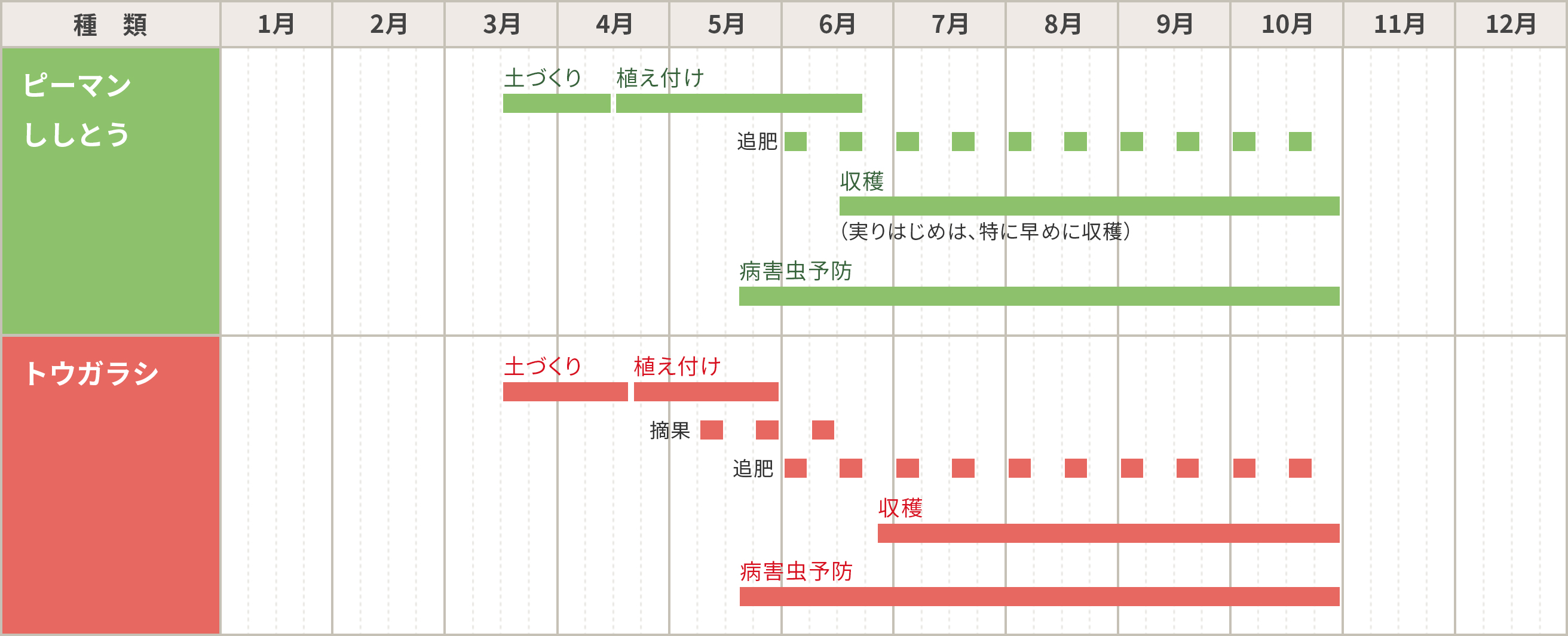 ピーマンとししとうとトウガラシの育て方 家庭菜園 サントリーフラワーズ