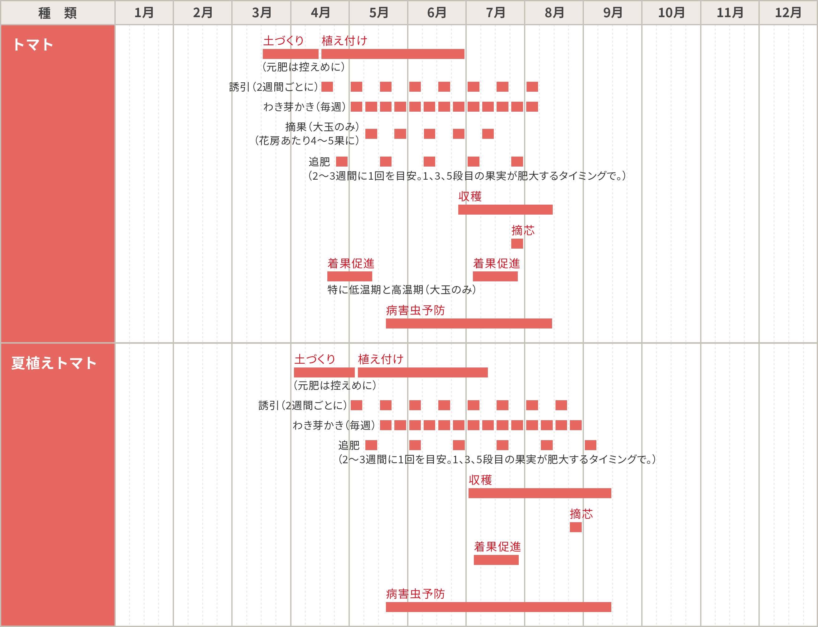 時期 トマト 植え付け 初心者向け！トマトの栽培方法・育て方のコツ｜特集｜読みもの｜サカタのタネ 家庭菜園・園芸情報サイト